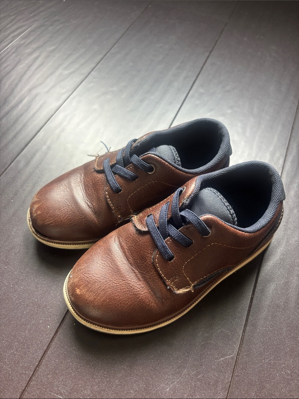Mix No. 6 Brown Kids Lace-Up Dress Shoes with Navy Trim